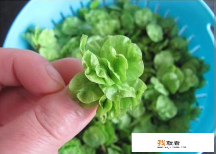 黄榆树线怎么做好吃？