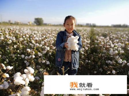 空调被填充物是新疆棉花好吗？