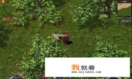 哪个游戏的怪物能把主角变青蛙？
