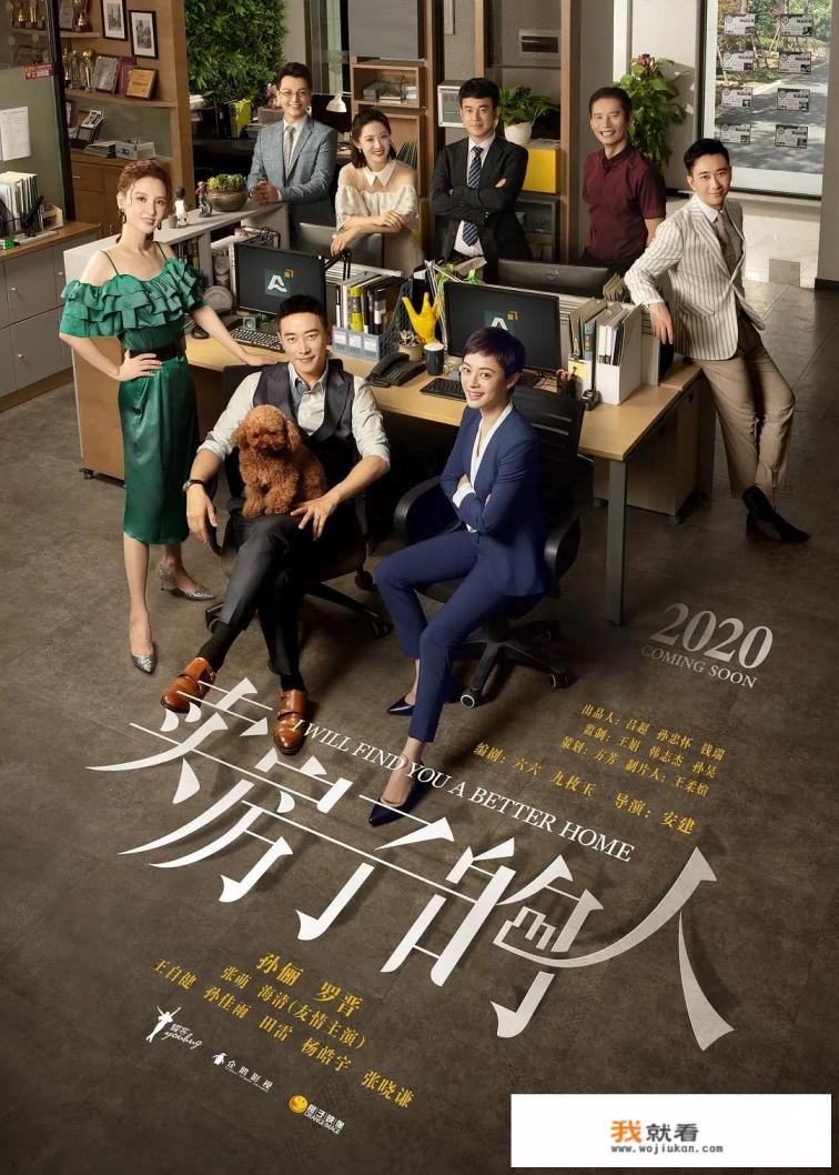 安家电视剧剧情介绍老洋房？