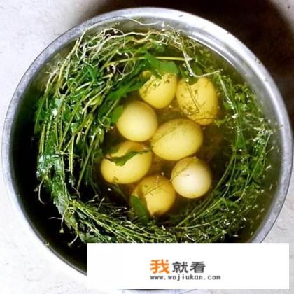 为什么每逢农历三月三邵阳人要吃荠菜煮鸡蛋？