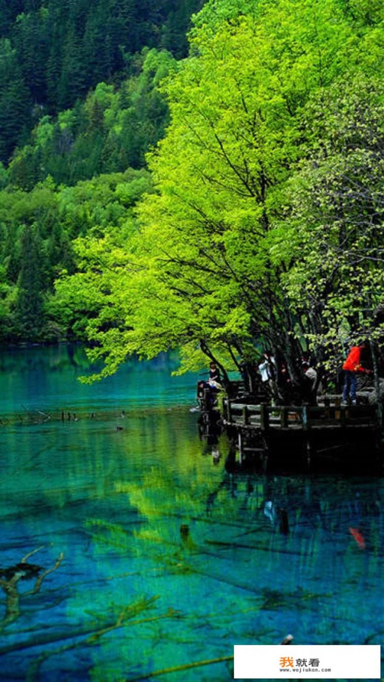 值得饱览的中国八大“人间仙境”旅游景区，你去过几个？