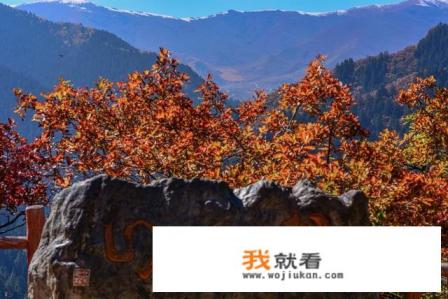 2021年10月可以去澳门旅游吗？