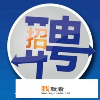 目前大多数招工单位说的熟练运用办公软件指的是哪些办公软件啊？