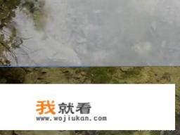 路亚眼镜推荐？