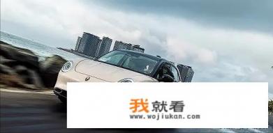 请问欧拉汽车好不好，想入手了？