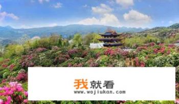 安顺附近的景区贵州九仙旅游景区有什么特色？