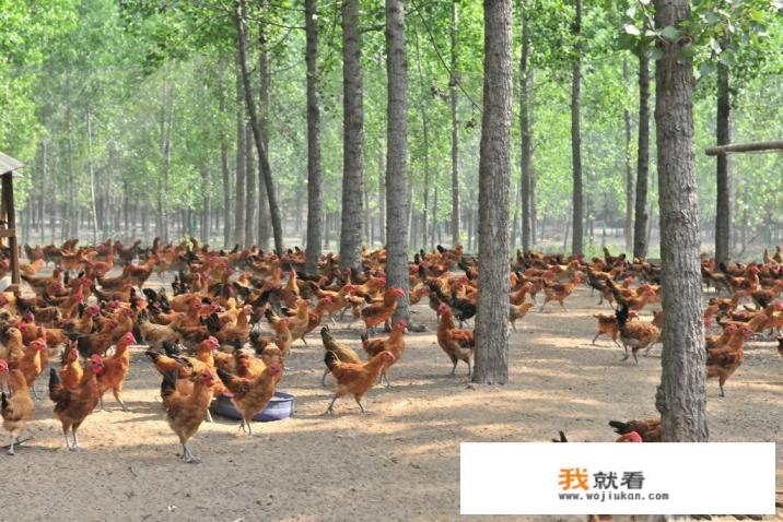 招聘信息的标题怎么写吸引人？