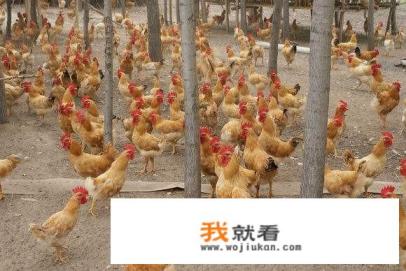 招聘信息的标题怎么写吸引人？
