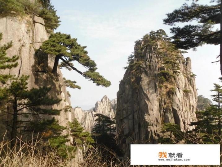 黄山二日游费用明细？