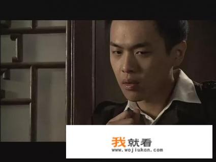 雪豹系列出了多少部？