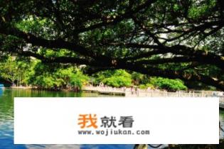 南宁自助餐攻略？