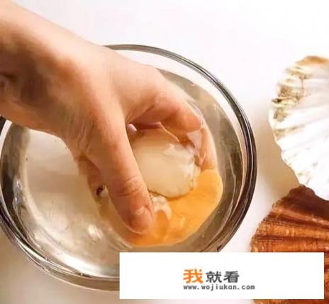 扇贝清洗方法？