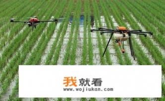 你对含氨基酸的水溶肥或叶面肥有什么看法？