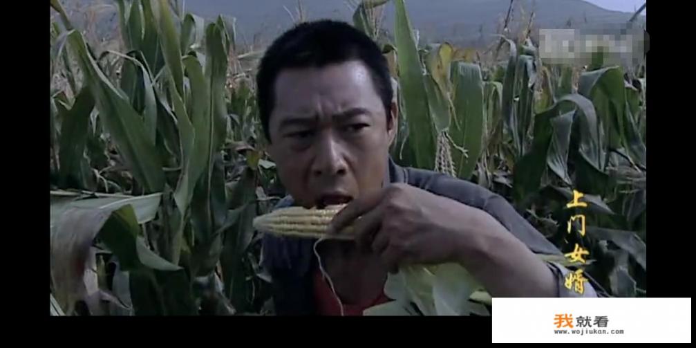 张丰毅版《上门女婿》的结局到底是怎么样的？你有什么看法？