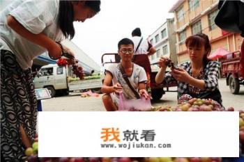 葡萄怎么清洗干净又好吃？