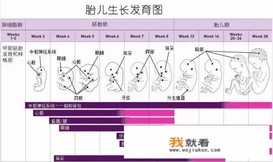 怀孕多久吃dha？