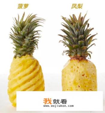 菠萝的谐音寓意？