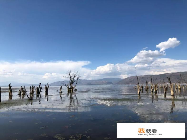 8月底旅游去哪里好呢？