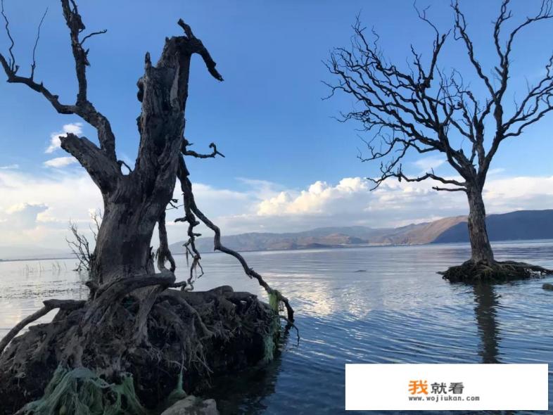 8月底旅游去哪里好呢？