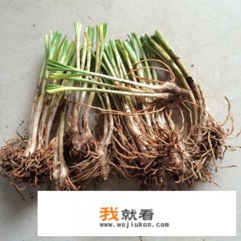 韭菜种植最简单的方法、？