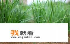 韭菜种植最简单的方法、？