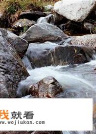 诗歌翻译和文言文翻译有什么不同？