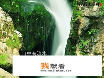 诗歌翻译和文言文翻译有什么不同？