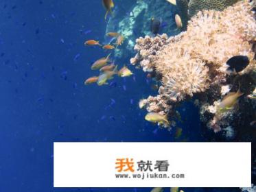 听说菲律宾风景不错，有哪些旅游景点推荐？