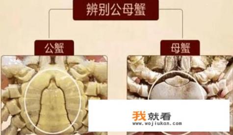 螃蟹有哪些好吃的做法？