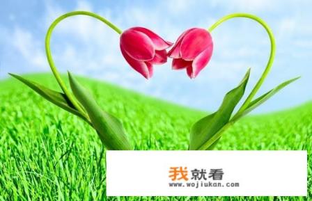 初恋情人找你借5000块钱急用是什么意思？