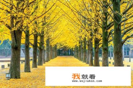 初恋情人找你借5000块钱急用是什么意思？