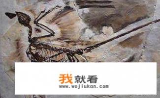 锦州有哪些景点？