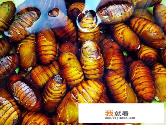 干煸蚕蛹最正宗的做法？