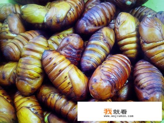 干煸蚕蛹最正宗的做法？