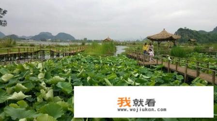 去云南玩报团十日游，2o80元二人靠谱吗？