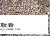 福州肉粽子馅的做法和配料？