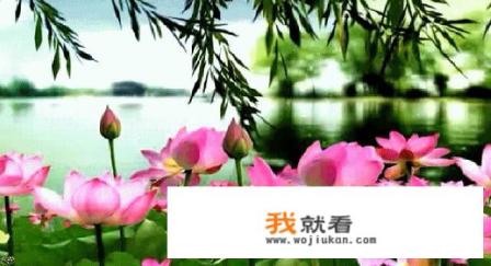 深圳颐年卡可以免费游世界之窗吗？