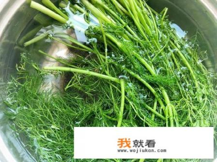 茴香饺子馅怎么调？