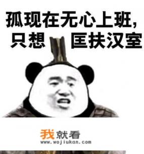 外国人在玩《全战三国》时都喜欢用刘备，为什么到了中国玩家这里喜欢让刘皇叔去跳舞？