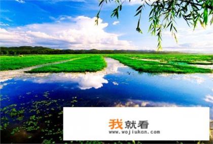 威宁草海的草是什么草？