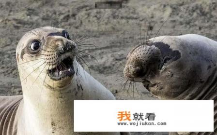 你们觉得玩游戏能排解孤独嘛? 你们觉得玩游戏能排解孤独嘛?