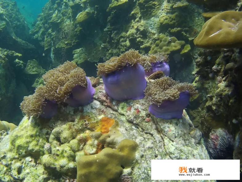 有哪些适合度蜜月的旅游景点推荐？