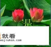 单身贵族跳棋怎么玩规则？