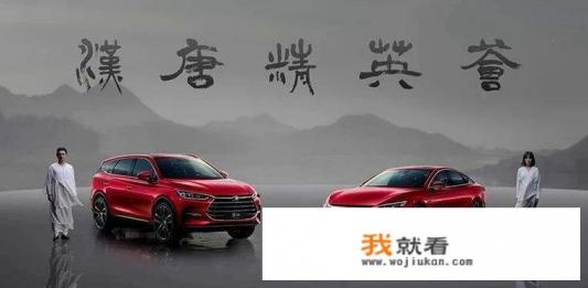 为什么说中国油车看奇瑞，电车看比亚迪？