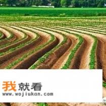 为什么部分农村人开始在头条做电商卖东西了？未来电商发展方向是什么呢？