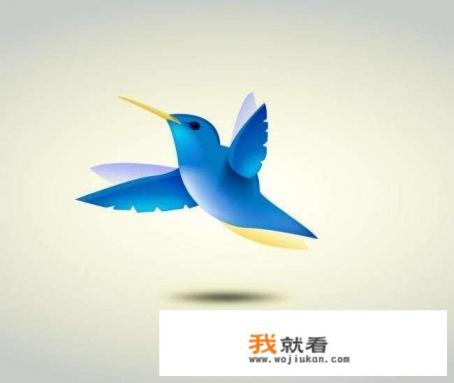 电骡，电驴，VERYCD，VAGEE都是什么关系啊，有什么区别？