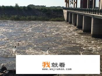黑龙江省伊春市旅游景点大全？