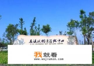 杭州湾湿地成“国”字号湿地公园，你觉得怎么样？