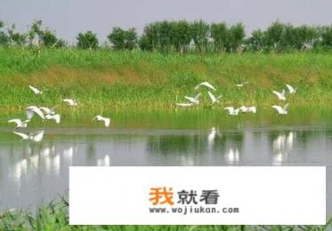 杭州湾湿地成“国”字号湿地公园，你觉得怎么样？